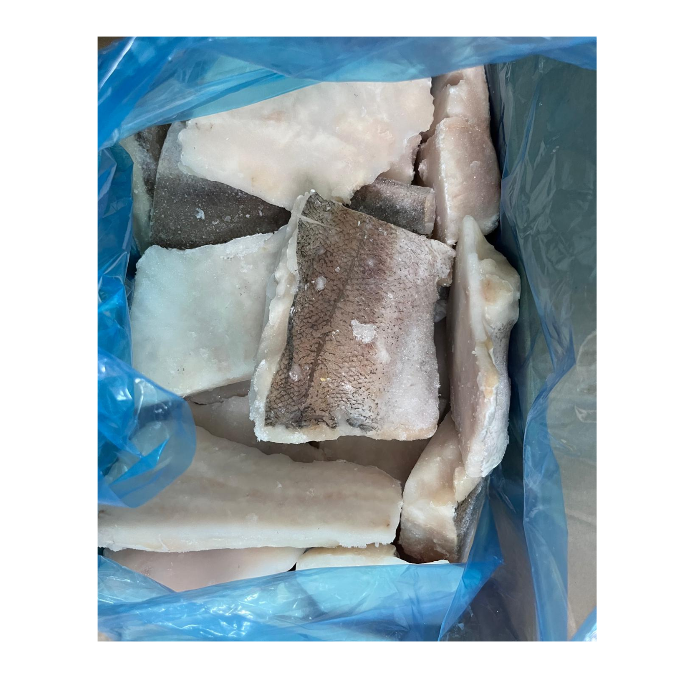 File Hake (Merluccius) BAX/5kg; 38lei-1kg - Cochiliafood