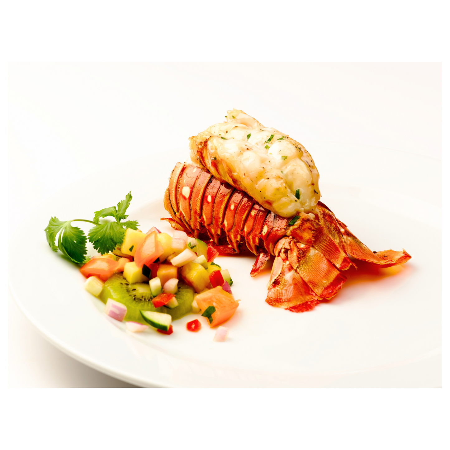 Homar Canada 600gr - Cochiliafood