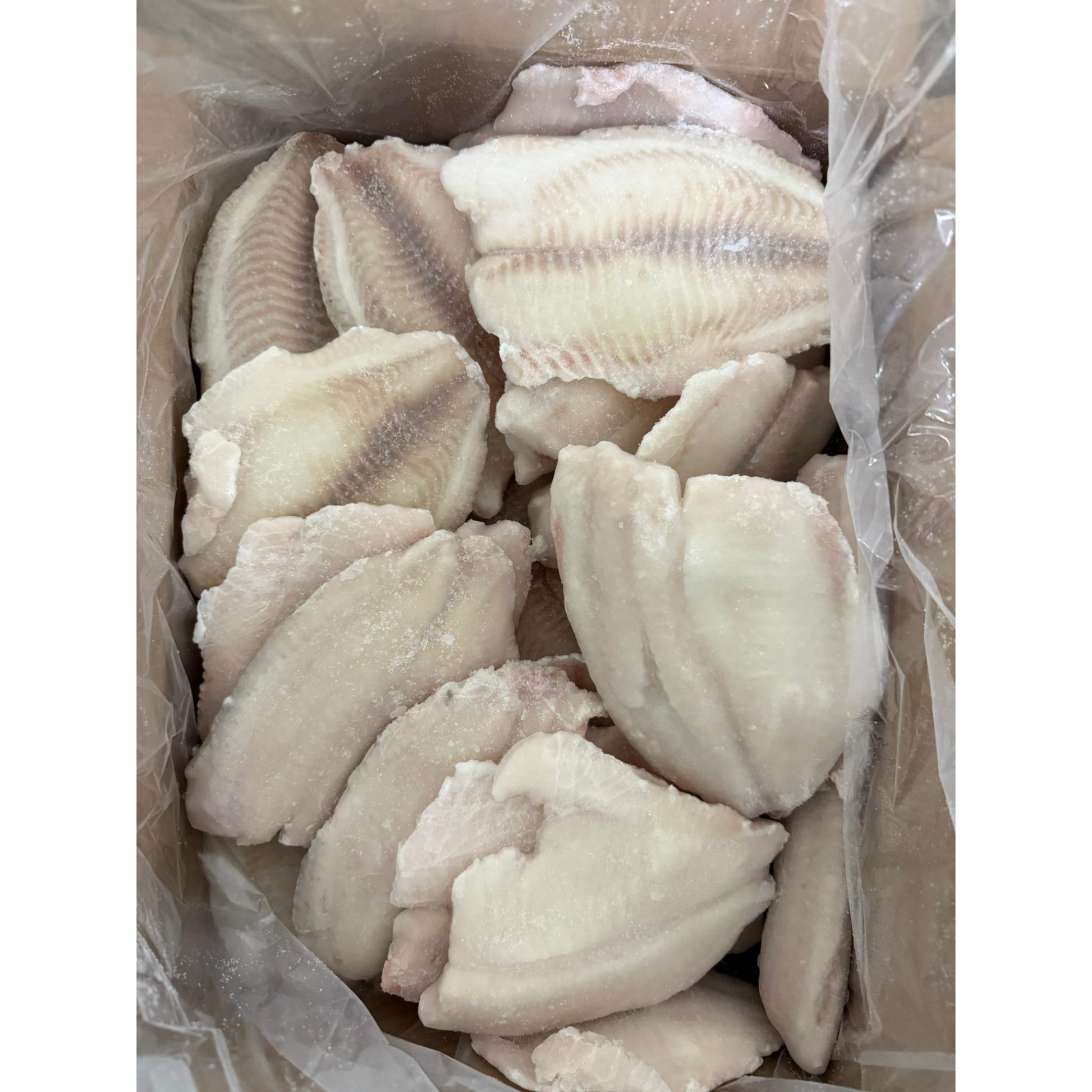 FILE TILAPIA 1KG - Cochiliafood
