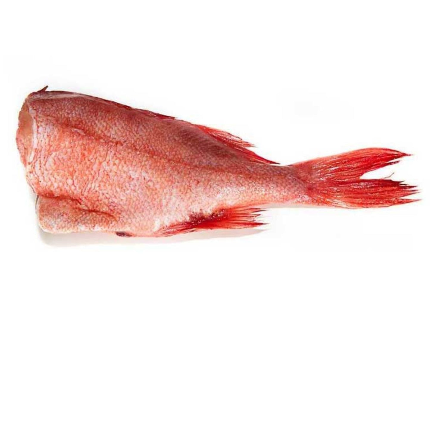 Barbun Decapitat Eviscerat 500-600gr/buc - Cochiliafood