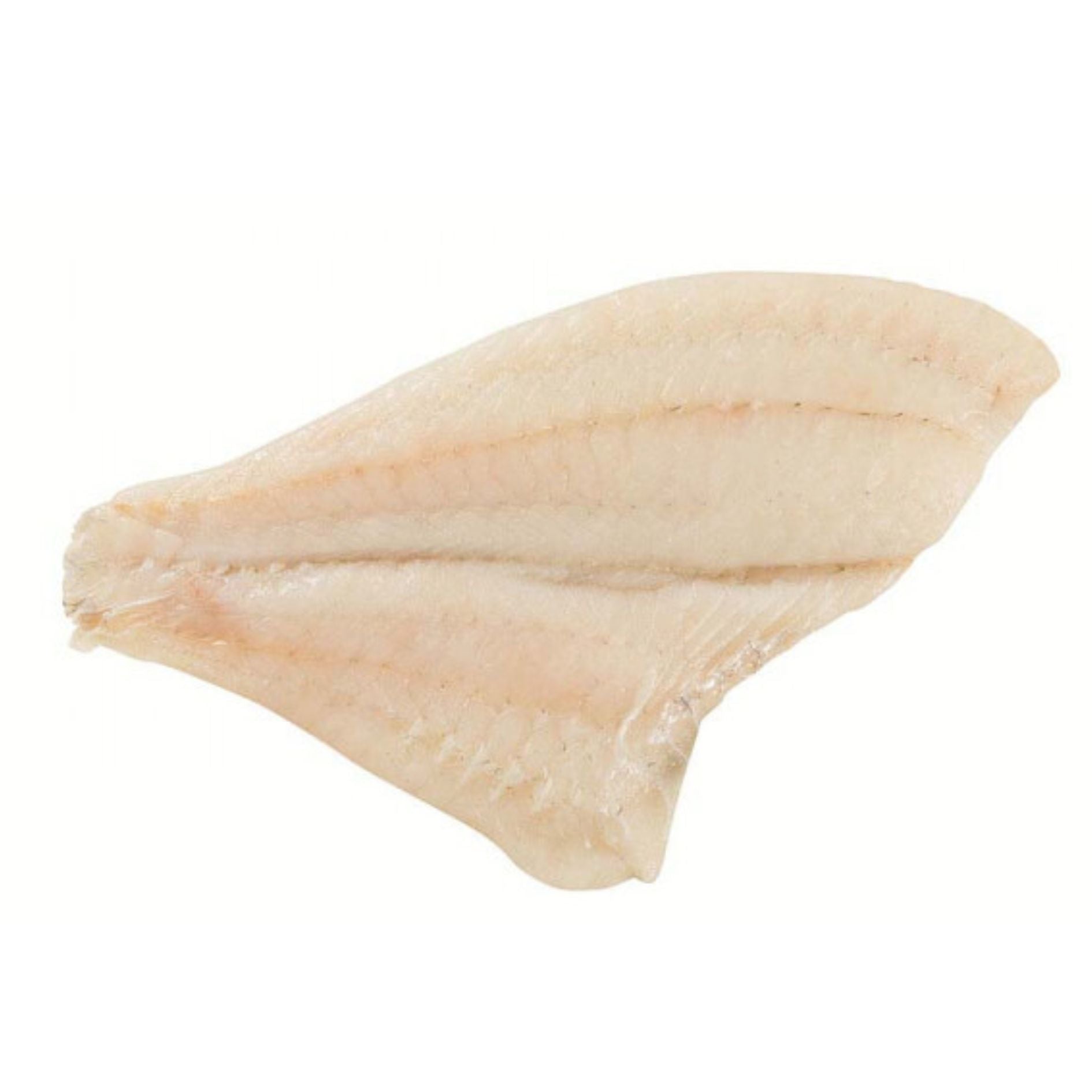 BAX/2.8kg File Calcan - Cochiliafood