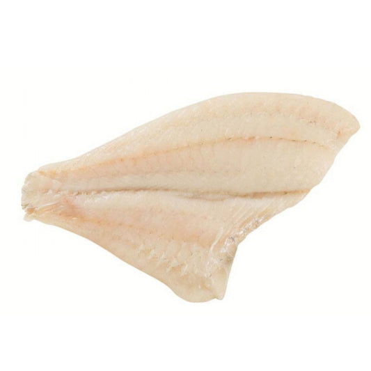 BAX/2.8kg File Calcan - Cochiliafood