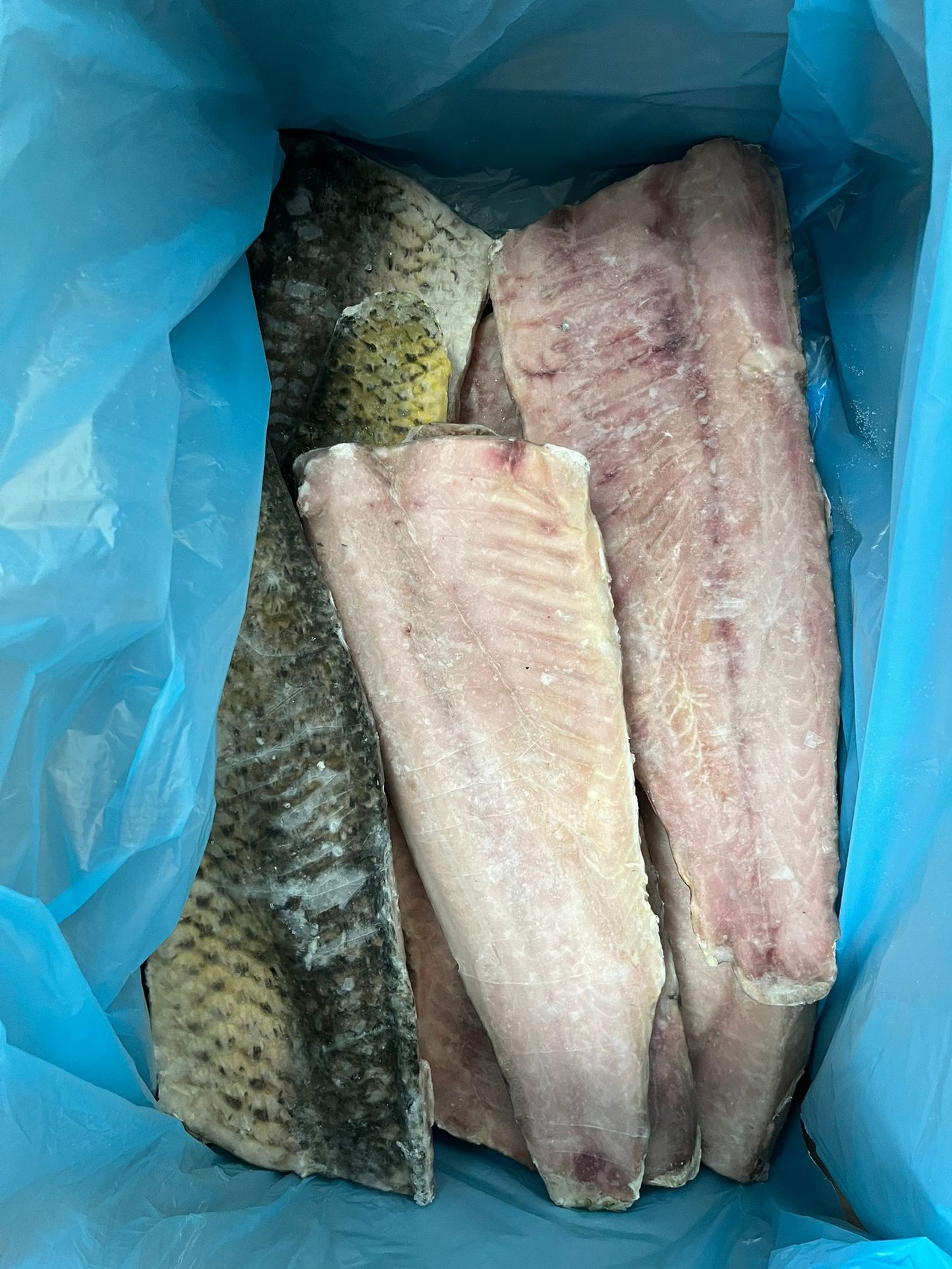 BAX/10KG File Crap Salbatic 55lei-1kg - Cochiliafood