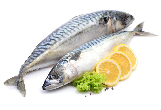 BAX/20kg Macrou Norvegia 600gr+/buc; 1kg-39lei - Cochiliafood