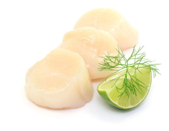 Carne de Scoici Saint Jacques 15-20buc/1kg - Cochilia