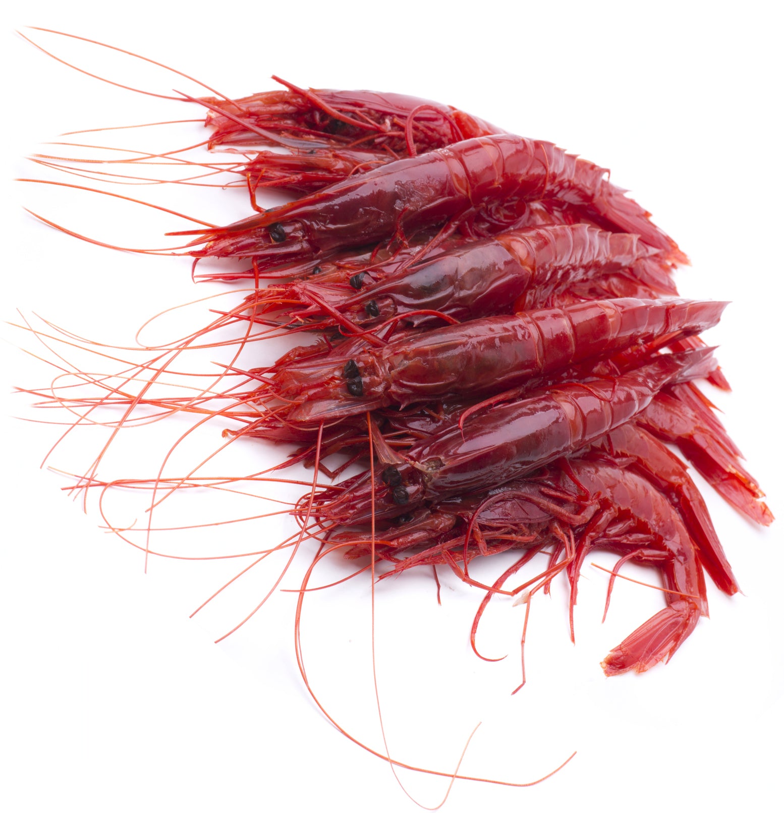 Creveti Salbatici Carabineros 8/12, 800gr net - Cochilia