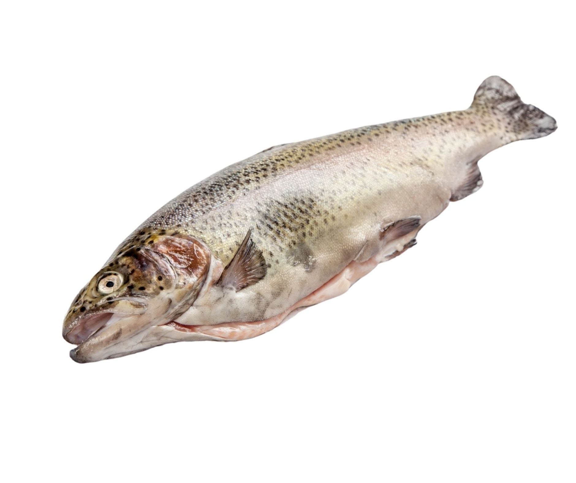 Pastrav Eviscerat 3buc/1kg - Cochiliafood