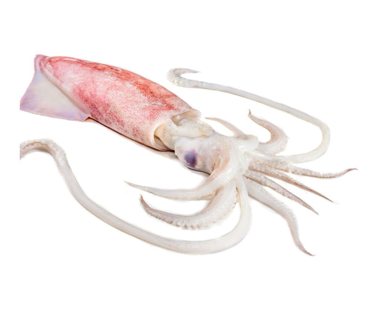 Calamar Patagonian C4L 1kg - Cochiliafood