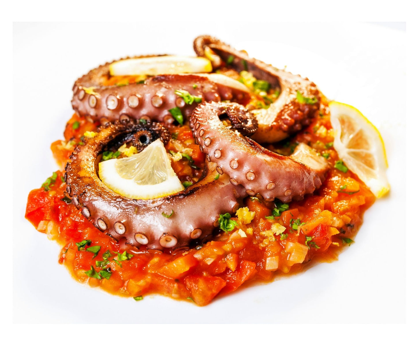 Caracatita Intreaga Spania, bucata 2100-2300gr - Cochiliafood