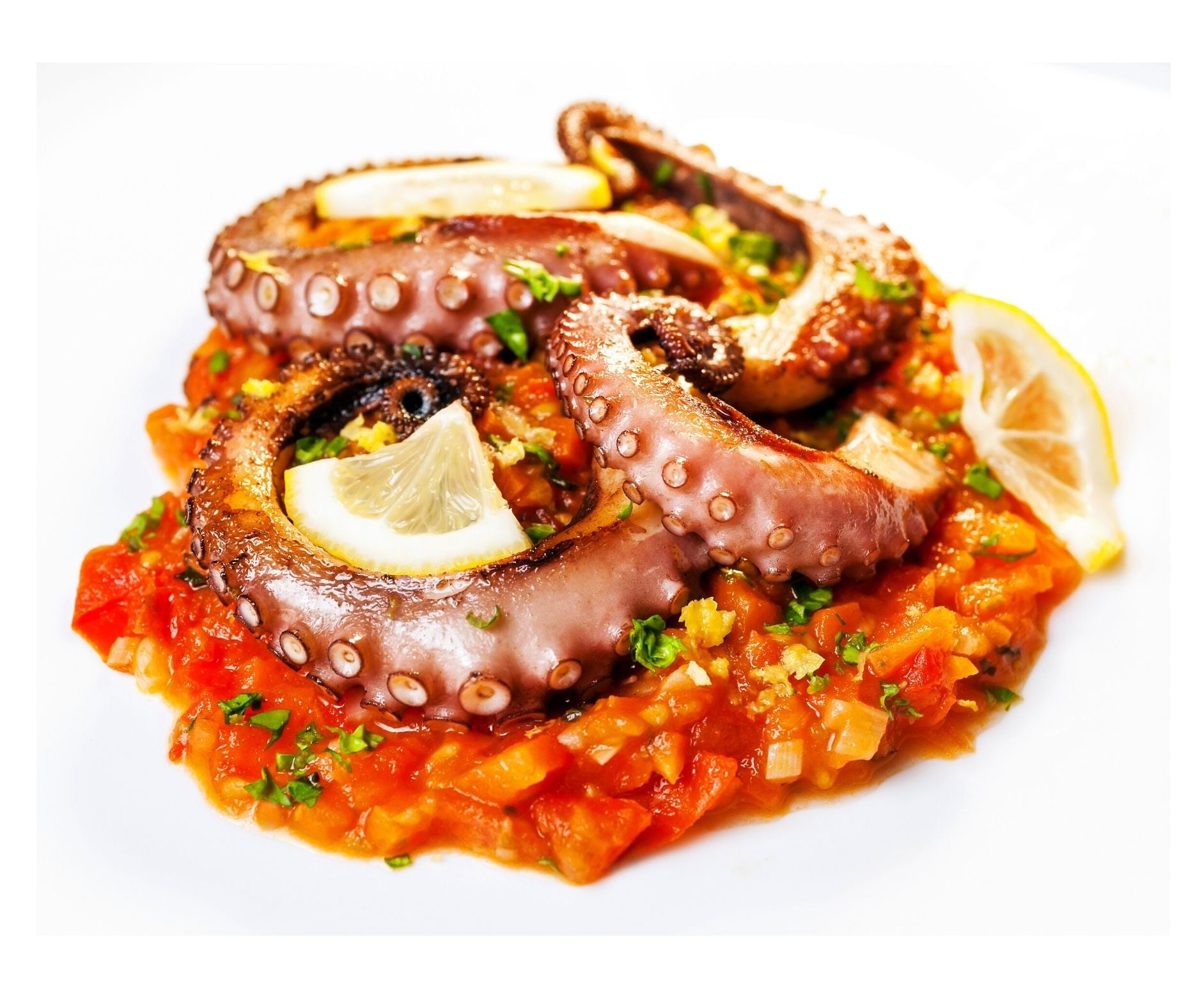 Caracatita Intreaga Spania, bucata 2100-2300gr - Cochiliafood