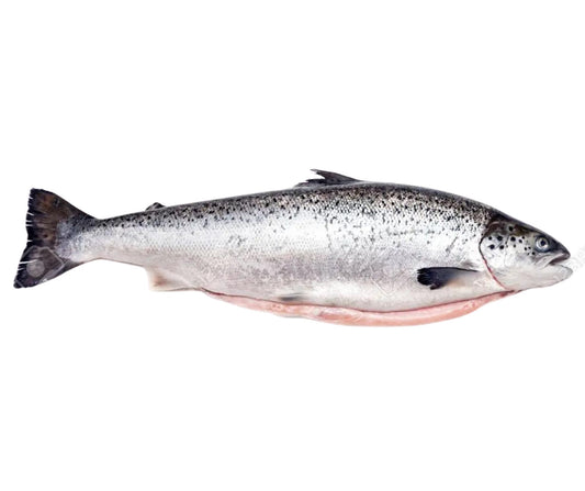 Somon Eviscerat 2-3kg/buc; Pret: 120-180lei - Cochiliafood
