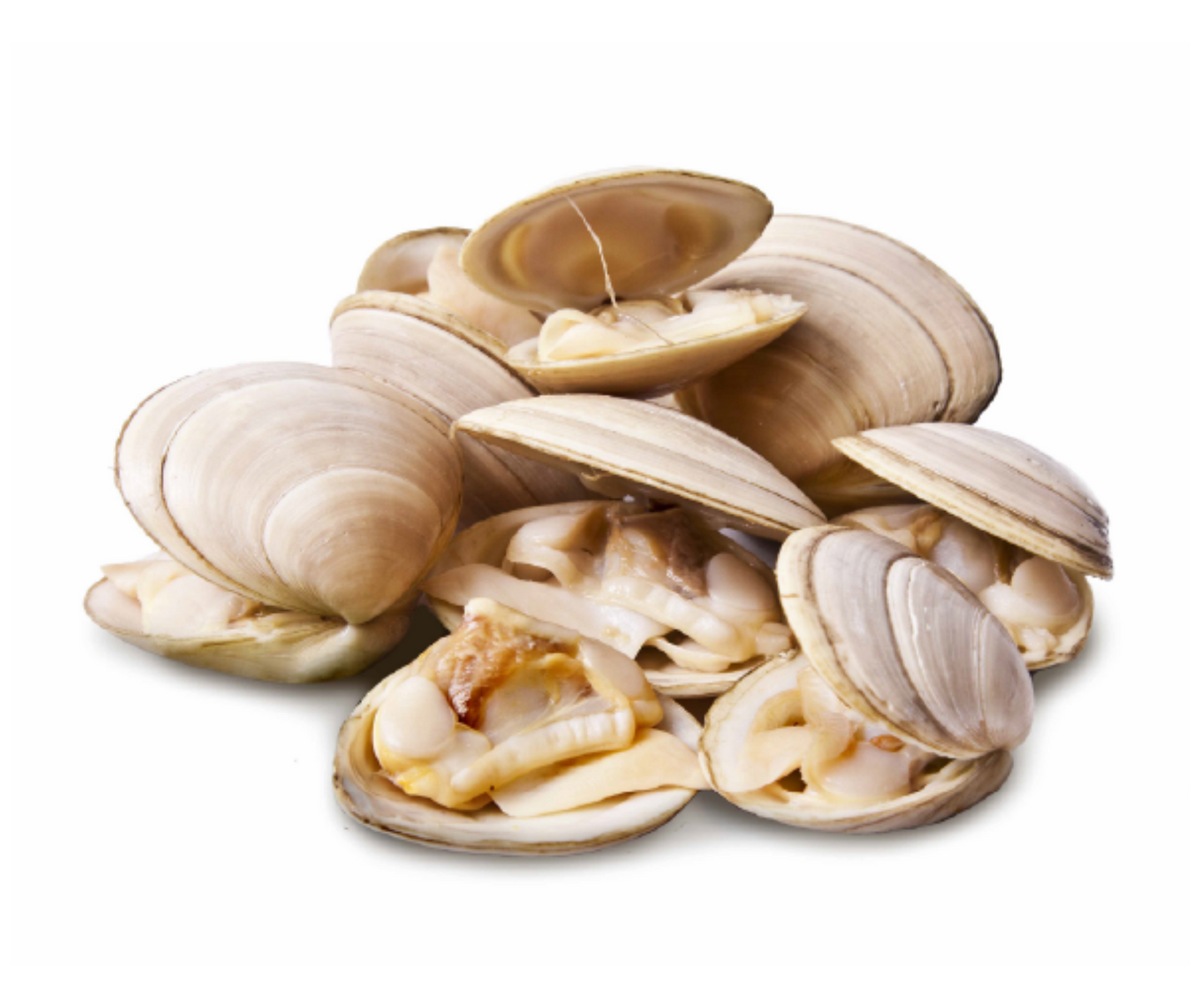 Vongole 1kg - Cochiliafood