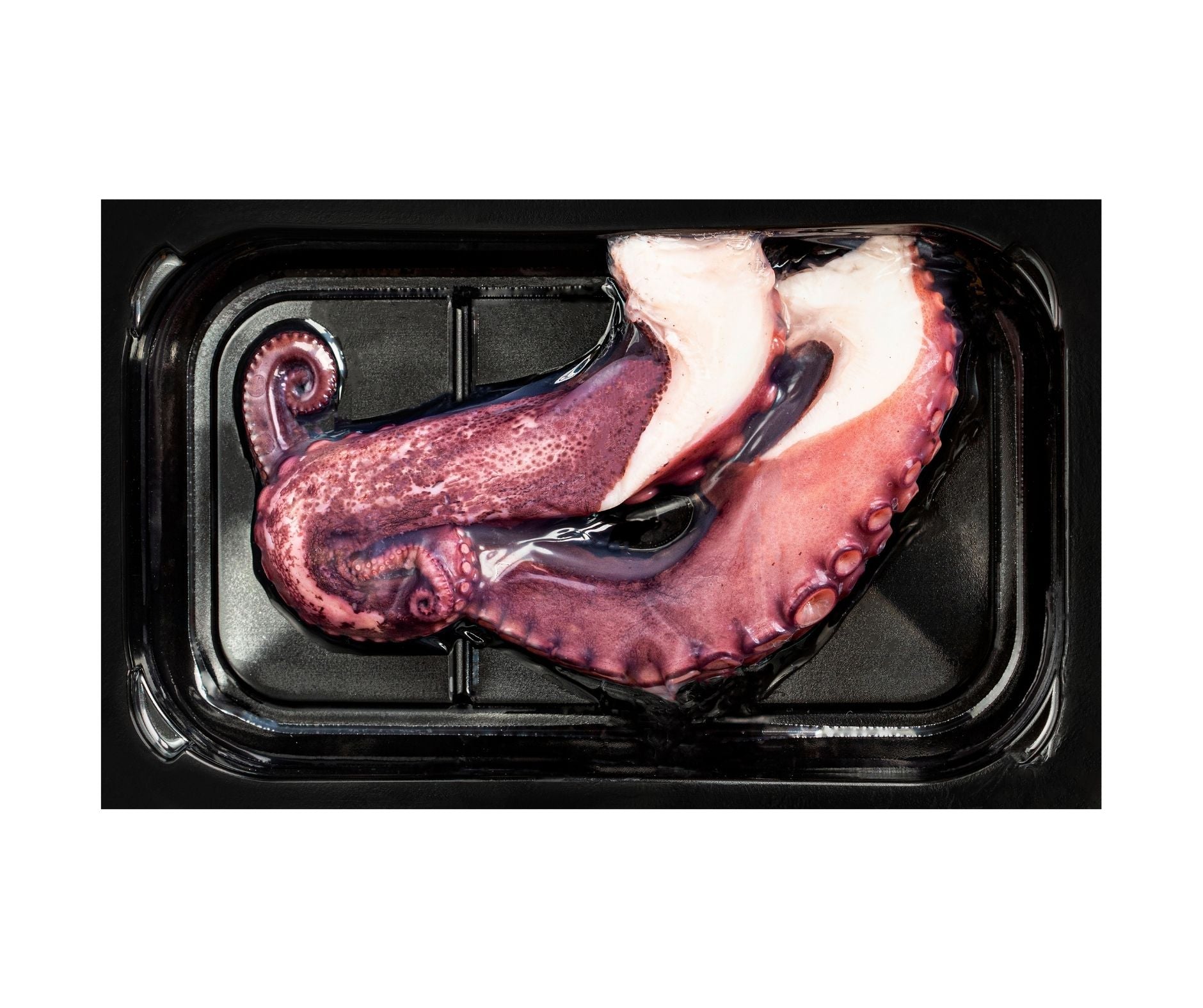 Tentacule Caracatita 200gr - Cochilia