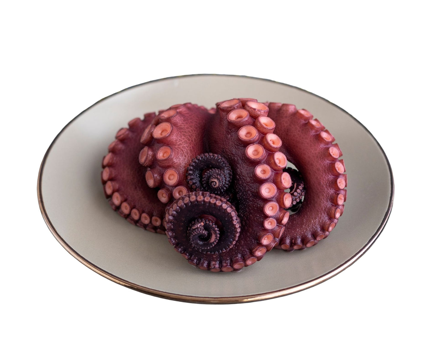 Tentacule de Caracatita 1.5kg - Cochilia