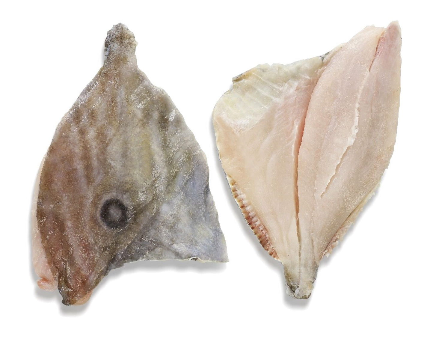 File Sfantul Petru (John Dory) 1kg - Cochiliafood