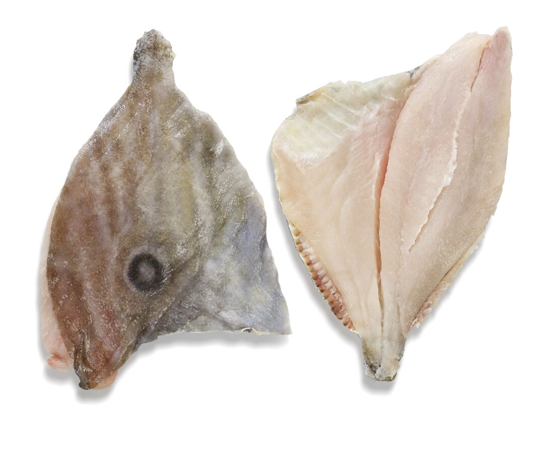 File Sfantul Petru (John Dory) 1kg - Cochiliafood