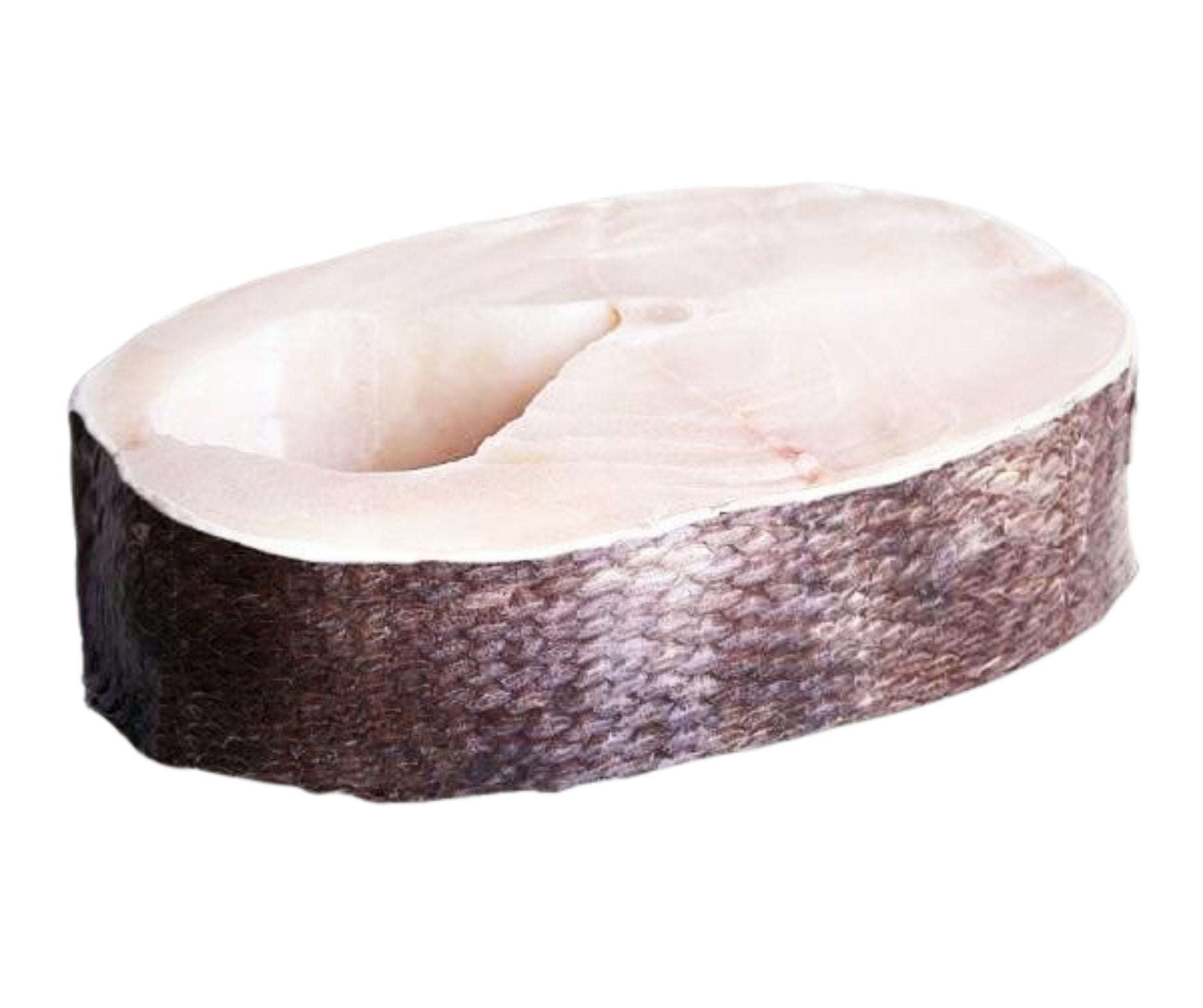 Cod Negru; bucata 2.50-3.50kg; pret: 450-630LEI - Cochilia