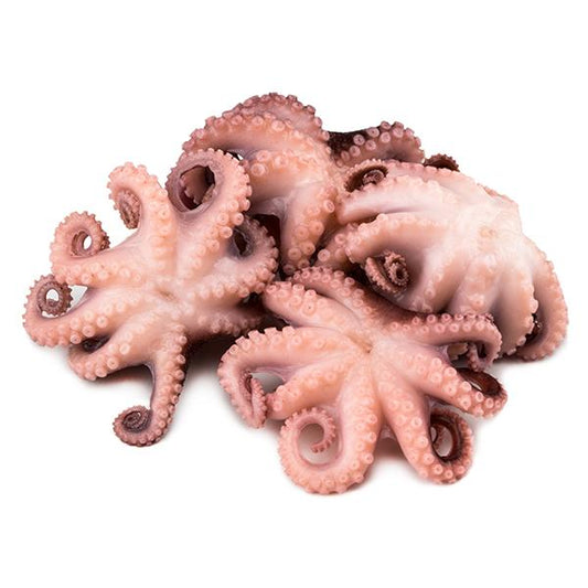 Caracatita Baby 1kg - Cochilia