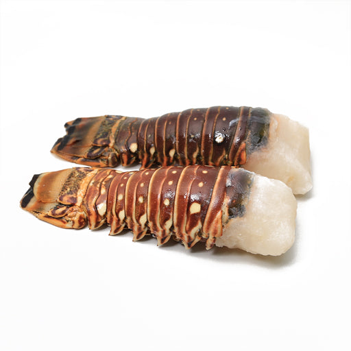 Coada Langusta, bucata 285-340gr - Cochilia