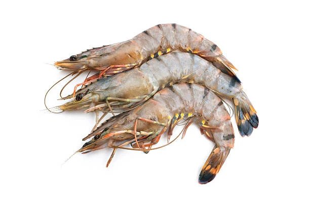 Creveti Black Tiger Intregi 4-6buc/kg - Cochilia