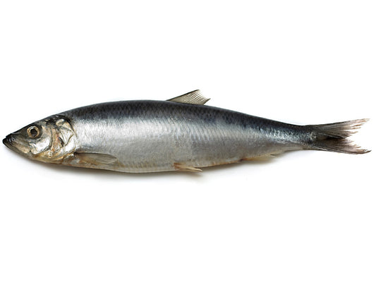 BAX/7kg HERING INTREG INTERFOLIAT 17lei-1kg - Cochiliafood