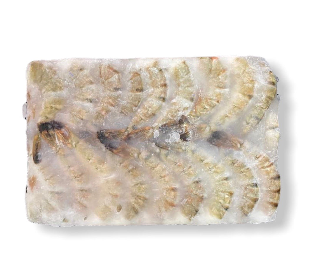 Creveti Black Tiger in Apa de Mare 1.26kg - Cochilia