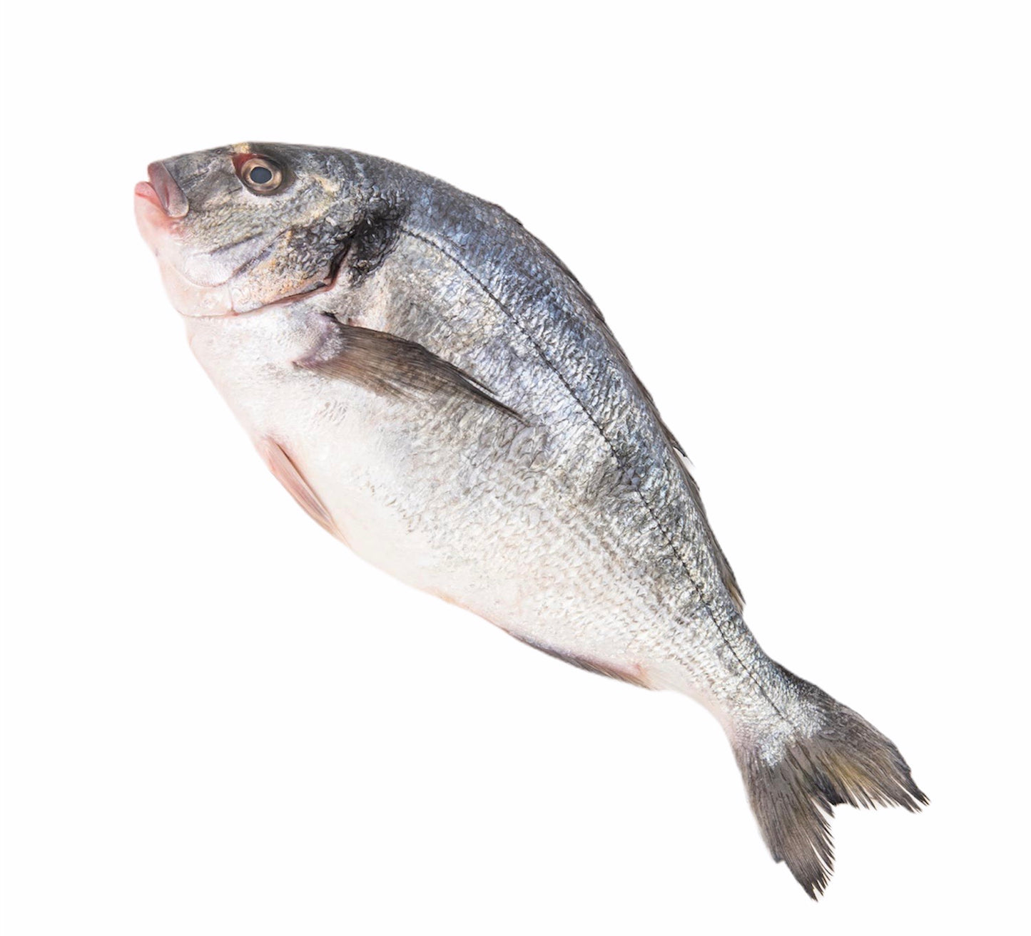Dorada Eviscerata 300-400/buc - Cochiliafood