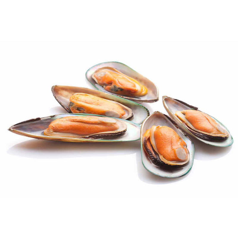 Scoici Verzi, Noua Zeelanda 1kg - Cochilia