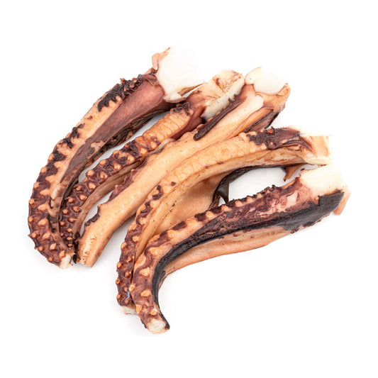 Tentacule de Calamar Prefierte 1kg - Cochilia